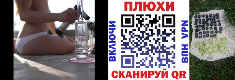 ГАШИШ Ice-O-Lator Плёс