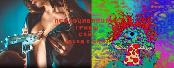 эйфоретик Белокуриха
