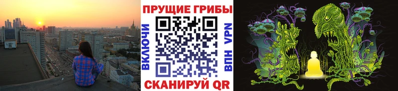 Галлюциногенные грибы мухоморы  Плёс 